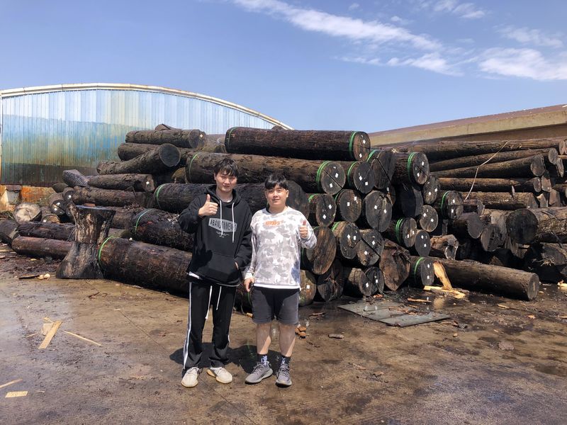 Dongguan Lingfeng Wood Industry Co., Ltd. productielijn van de fabrikant