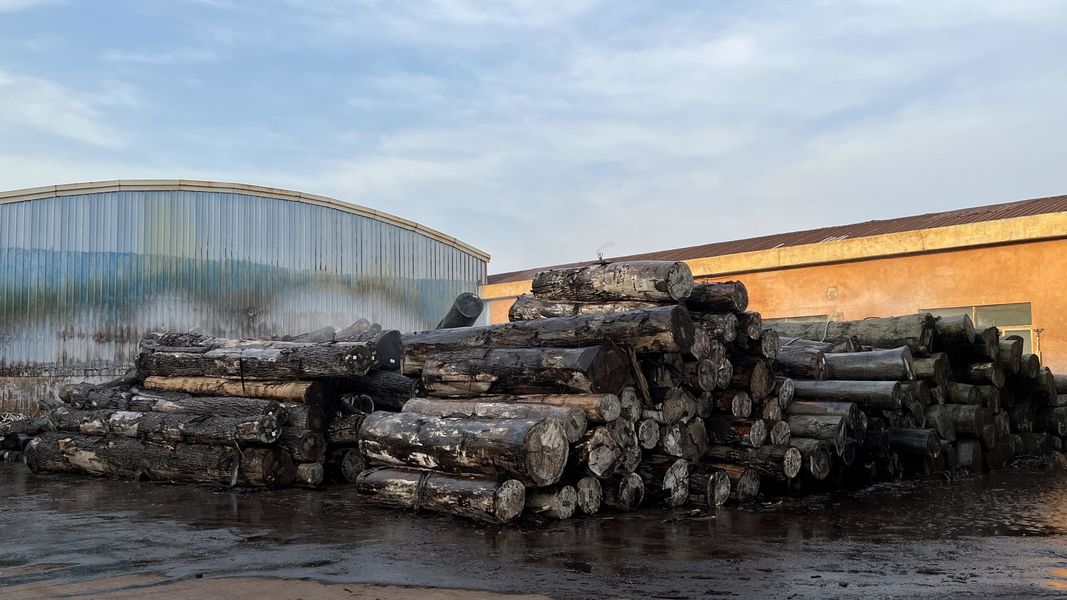 Dongguan Lingfeng Wood Industry Co., Ltd. productielijn van de fabrikant