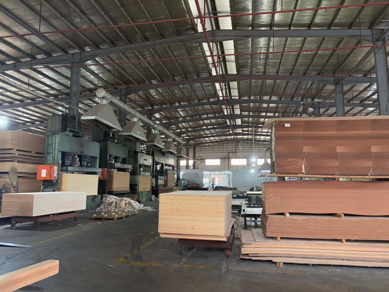 Dongguan Lingfeng Wood Industry Co., Ltd. productielijn van de fabrikant
